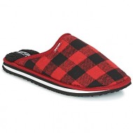 Cool Shoe